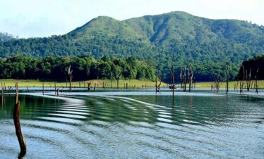 5 Days Kerala Tour